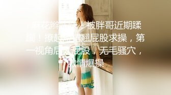 STP17832 【女神感谢祭完成粉丝心中色色的梦想】搭讪狼粉车震达成他的小愿望内射中出国语中字