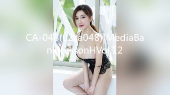 CA-048(62ca048)[MediaBank]LessonHVol.12