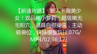 风吟鸟唱-范范和有钱客户第二部高清无水印完整版