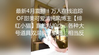  爆乳美娇娘户外勾引散步路人 差点翻车来了很多游客换地继续干