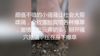 麻豆傳媒 MD0256 肉便器養成計劃 白思吟