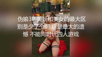 美腿白皙少妇 (3)