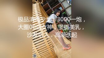  极品清纯少女，3000一炮，大圈00后女神，坚挺美乳，沙发后入，高潮迭起