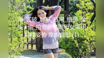 91新人EboArt盛世美胸系列-麻辣大胸喵之极品爆乳蜜儿 蕾丝吊带 摇乳挑逗 AV式口活 近距离拍摄 高清720P版