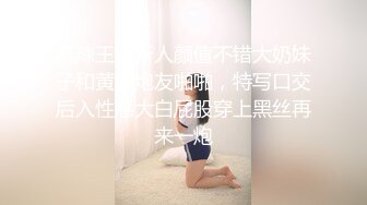 麻辣王子新人颜值不错大奶妹子和黄毛炮友啪啪，特写口交后入性感大白屁股穿上黑丝再来一炮