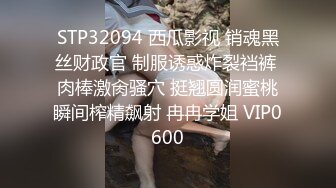 STP32094 西瓜影视 销魂黑丝财政官 制服诱惑炸裂裆裤 肉棒激肏骚穴 挺翘圆润蜜桃瞬间榨精飙射 冉冉学姐 VIP0600