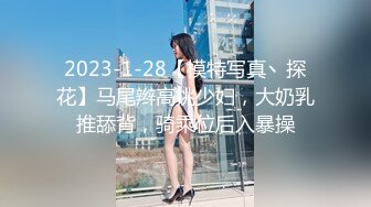 STP28944 丰乳肥臀极品美御姐！肉感身材极度淫骚！连体网袜自慰，揉搓肥穴假屌爆菊，振动棒插穴