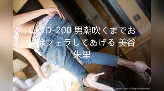 heyzo-0564