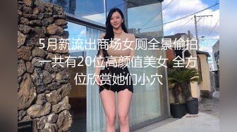 成都小可爱