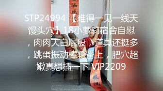  少妇酒店开房激情大战！穿上灰丝跳蛋假屌塞穴前戏！抓起大屌吸吮，极品大肥臀骑乘位