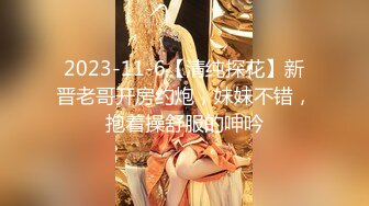 【极品??性爱流出】魔都肥猪哥玩操美女性爱三部曲??内射中韩混血美女 玩操大二处女学妹 路边JK口爆 高清720P版