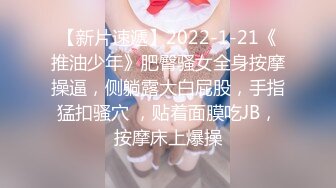 极品身材美乳网红『苏苏小公主酱』宅男御姐女神完美身材户外露出极品甄选