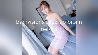 bamvisions e313 ap bibi noel-63