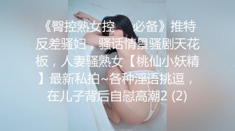 大神潜入商场女厕洞中偷窥长发黑丝御姐的小黑鲍