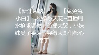 女神下海【小学姐】