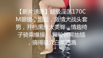 巨乳秘书和老总的那点事