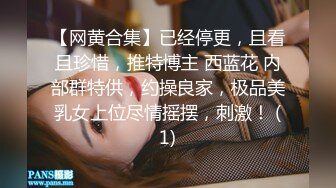 麻豆传媒&PsychopornTW联合出品-淫荡欲女 同时被一个白人鸡巴和一个国人鸡巴同时操 前后夹击