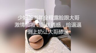 WMOG006 微密圈 大奶女秘书的黑丝诱惑 小水水 VIP0600