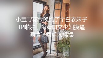 肉肉传媒RR-010勾引房东丰满肉体抵租肉偿