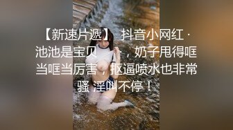 【感谢会员投稿】极品巨乳妹子性感情趣内衣诱惑掰穴黑丝自拍，这奶子又大又挺，确实不错，看着诱人720P高清