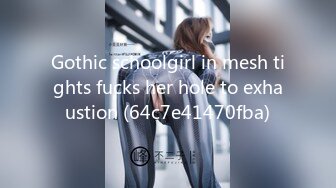 Gothic schoolgirl in mesh tights fucks her hole to exhaustion (64c7e41470fba)