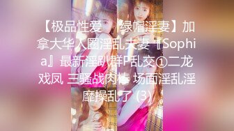 【极品性爱❤️绿帽淫妻】加拿大华人圈淫乱夫妻『Sophia』最新淫趴群P乱交①二龙戏凤 三骚战肉棒 场面淫乱淫靡操乱了 (3)