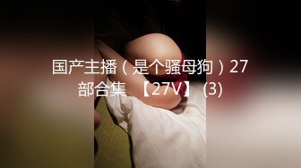 国产主播（是个骚母狗）27部合集  【27V】 (3)